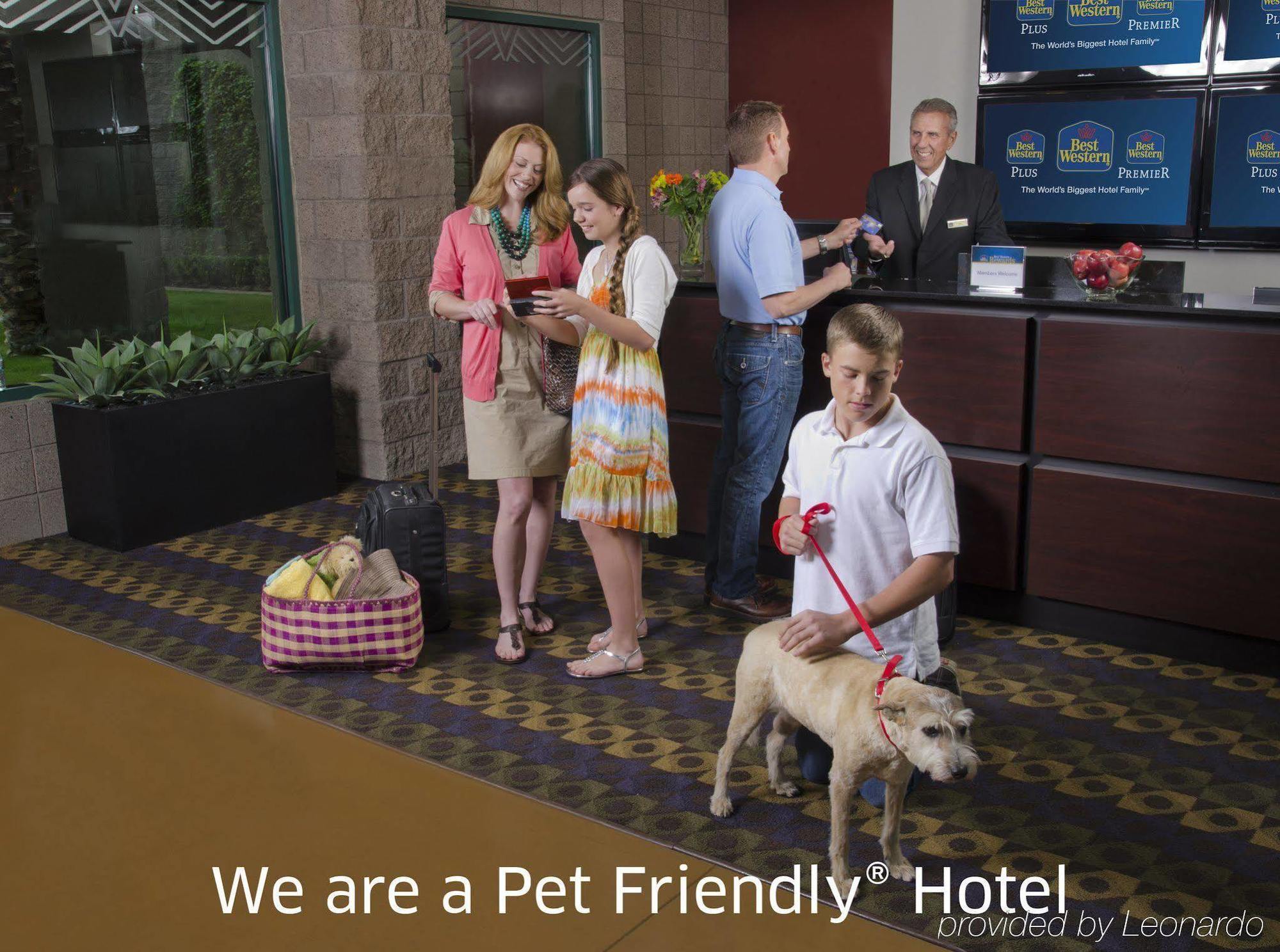 Best Western Sunday House Inn Кервилл Экстерьер фото